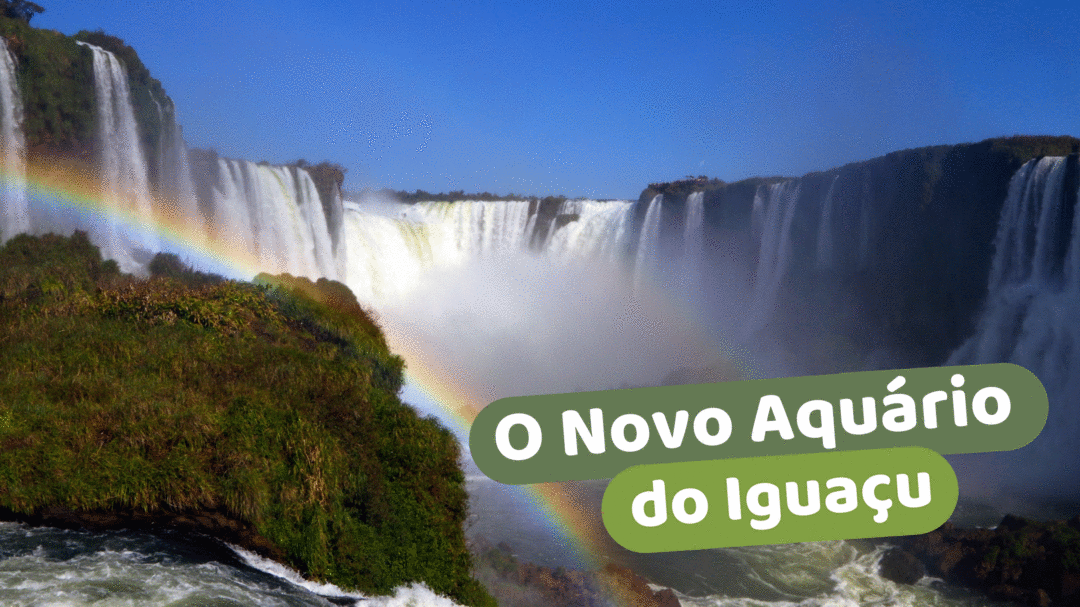 AquaFoz: Futuro aquário do Iguaçu